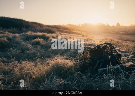 Un tramonto mozzafiato su un campo ghiacciato con vecchi tronchi e erba Foto Stock