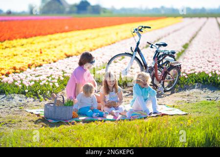 Picnic in famiglia al tulip campi di fiori in Olanda. Giovane madre e bambini a mangiare il pranzo in fioritura di tulipani di Campo dei Fiori. La mamma e i bambini viaggiare in bicicletta. Foto Stock