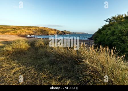 Gunwalloe Church Cove; Lookig verso Mullion; Cornovaglia; Regno Unito Foto Stock