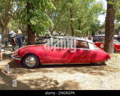 Old Red executive 1960s Citroen ID 19 berlina a quattro porte in un parco. Natura, erba, alberi. Auto classica Autoclasica 2022. CopySpace Foto Stock