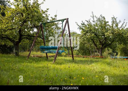 Old Swing in un lussureggiante frutteto di mele Foto Stock