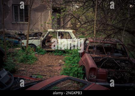 Abbandonate e derubate vecchie auto in piedi all'aria aperta. Le automobili non esistono più Foto Stock