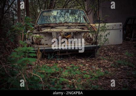 Abbandonate e derubate vecchie auto in piedi all'aria aperta. Le automobili non esistono più Foto Stock