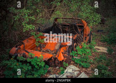 Abbandonate e derubate vecchie auto in piedi all'aria aperta. Le automobili non esistono più Foto Stock