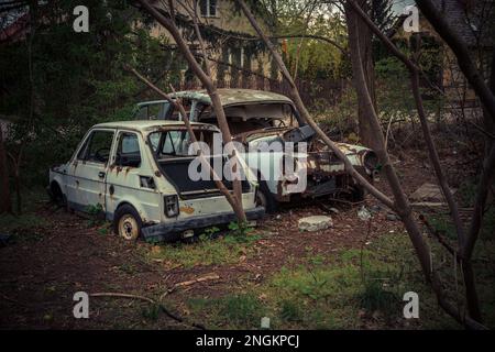 Abbandonate e derubate vecchie auto in piedi all'aria aperta. Le automobili non esistono più Foto Stock