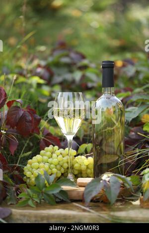 bicchiere di vino bianco su fondo ligneo con uva Foto Stock