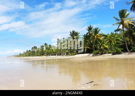 La bella spiaggia di Itacarezinho nel comune di Itacaré, a sud dello stato di Bahia, nel nord-est del Brasile. Foto Stock