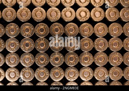 Vista posteriore di più cartucce dal lato del primer. Munizioni affilate. Foto Stock