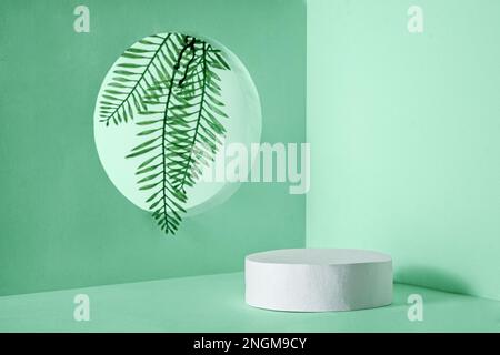 Moderno podio sfondo con finestra e impianto per esposizione e pubblicità dei prodotti con surreale spazio interno. Foto di alta qualità Foto Stock