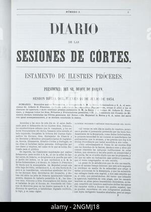 DIARIO DE LAS SESIONES DE CORTES - SESION REGIA (1ª DE LA REINA REGENTE Mª CRISTINA) 24/7/1834 - PRESIDIDA POR EL DUQUE DE BAILEN -. POSIZIONE: SENADO-BIBLIOTECA-COLECCION. MADRID. SPAGNA. Foto Stock