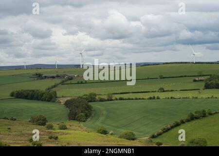 Turbine eoliche viste in tutta la terra agricola nel nord-est dell'Inghilterra Foto Stock