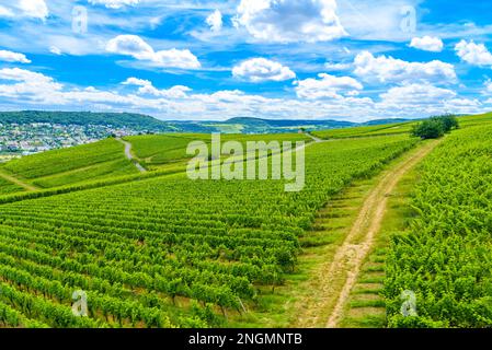 Strada sul Reno in Ruedesheim am Rhein, Rudesheim, Rheingau-Taunus-Kreis, Darmstadt, Hessen, Germania. Foto Stock