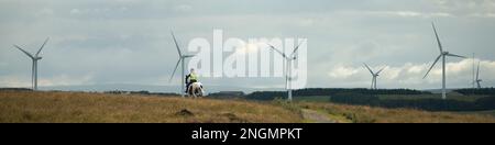 Immagine paesaggistica con cavaliere su terreni accidentati con sei turbine eoliche in lontananza all'inizio dell'estate Foto Stock