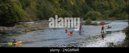 Un gruppo di kayak e pagaie si dirigono lungo il fiume in una giornata di sole in autunno Foto Stock