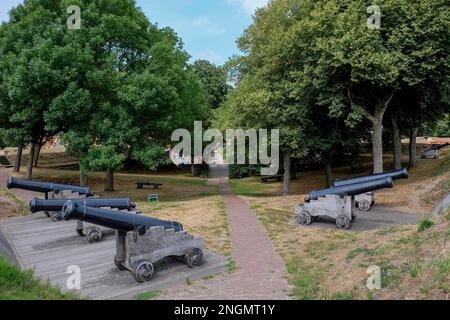 Bourtange Fortezza canon posizione su uno dei bastioni Foto Stock