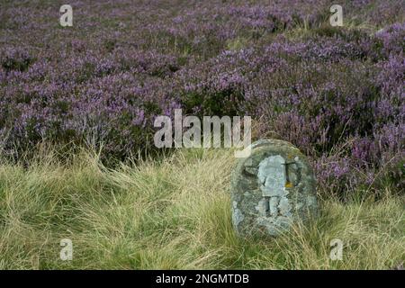 Indicatore curvo in pietra lungo la strada della vecchia Stockton e Darlington Railway sulla Waskerley Way attraverso la brughiera sopra Stanhope Foto Stock