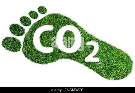 Simbolo o concetto di impronta di carbonio, impronta a piedi nudi fatta di erba verde lussureggiante con testo CO2 Foto Stock