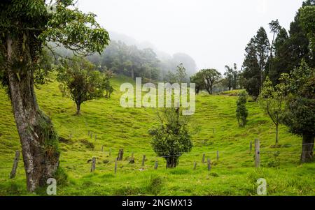 splendida campagna costa rica con ricche colline verdi Foto Stock