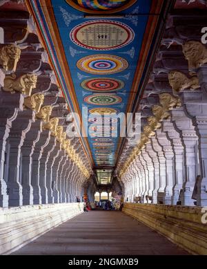 Ramanathaswamy corridoio del tempiale in Rameswaram, Rameshwaram, Tamil Nadu, India. L'insieme esterno dei corridoi è reputato essere il più lungo nel mondo Foto Stock