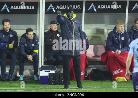 Mbaye Leye, allenatore capo di Essevee, ha illustrato durante una partita di calcio tra RFC Seraing e SV Zulte Waregem, sabato 18 febbraio 2023 a Seraing, il giorno 26 della prima divisione del campionato belga della 'Jupiler Pro League' del 2022-2023. FOTO DI BELGA BRUNO FAHY Foto Stock