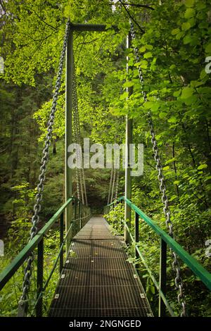 Un ponte sospeso in acciaio sul fiume nel Parco Nazionale del Paradiso Slovacco. Slovacchia Foto Stock