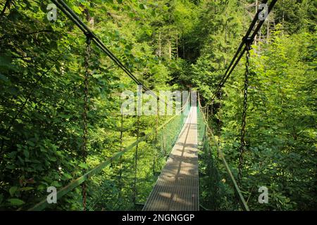 Un ponte sospeso in acciaio sul fiume nel Parco Nazionale del Paradiso Slovacco. Slovacchia Foto Stock