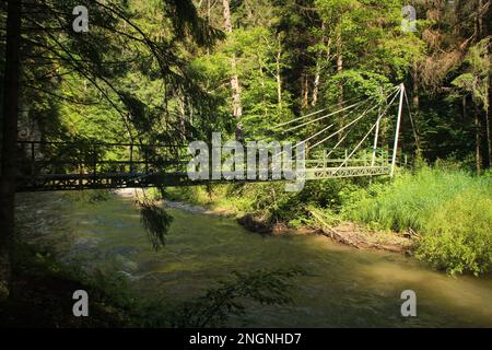 Un ponte sospeso in acciaio sul fiume nel Parco Nazionale del Paradiso Slovacco. Slovacchia Foto Stock