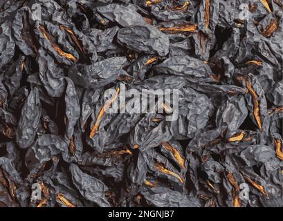 Illustrazione realistica di prugne secche o prugne fondo. Prugne secche, snocciolate. Concetto di cibo sano Foto Stock