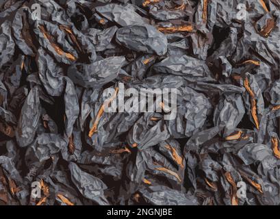 Illustrazione realistica di prugne secche o prugne fondo. Prugne secche, snocciolate. Concetto di cibo sano Foto Stock