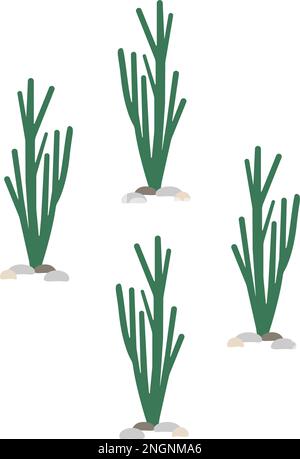 Pattern vettoriale senza giunture con cactus piatto. Texture con cactus verde alto. Naturale disegno a mano sfondo con piante del deserto. Illustrazione Vettoriale