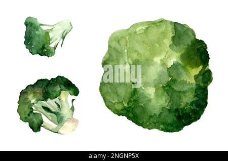 Broccoli freschi. Illustrazione di acquerello disegnata a mano, isolata su sfondo bianco Foto Stock