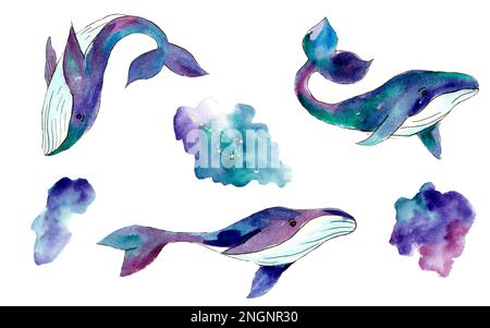 Acquerello illustrazione di una balena nello spazio su sfondo bianco Foto Stock