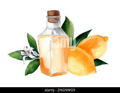 Fiala di vetro con olio aromatico al limone. Cosmetologia e medicina. Illustrazione acquerello isolata su sfondo bianco Foto Stock