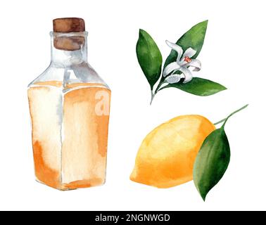 Fiala di vetro con olio aromatico al limone. Cosmetologia e medicina. Set di illustrazioni acquerello isolate su sfondo bianco Foto Stock