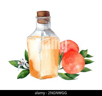 Fiala di vetro con olio aromatico arancione. Neroli. Set di illustrazioni acquerello isolate su sfondo bianco Foto Stock