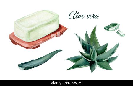 Sapone con estratto di aloe vera. Set di illustrazioni disegnate a mano in acquerello. Rimedio medico e termale Foto Stock