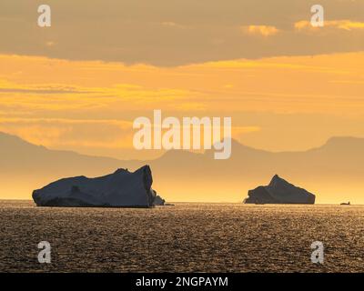 La mattina presto luce su enormi iceberg dal Ilulissat Icefjord galleggiando nel mare che circonda Ilulissat, Groenlandia. Foto Stock