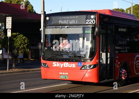 Di fronte ad uno Skybus rosso, con l'autista visibile attraverso il parabrezza illuminato dal sole, mentre il servizio diretto all'aeroporto viaggia attraverso i sobborghi di Melbourne Foto Stock