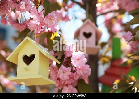 Bird house giallo con foro a forma di cuore appeso su ramo di albero all'aperto Foto Stock