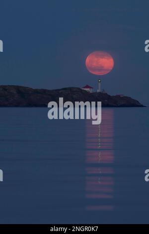 La luna piena che sorge dietro il faro di Trial Islands, al largo di Victoria, BC, Canada. La luce del faro si riflette insieme alla luna nel Foto Stock