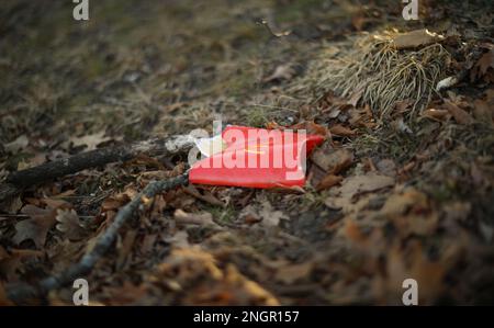 Spazzatura per strada che mostra problemi ambientali Foto Stock