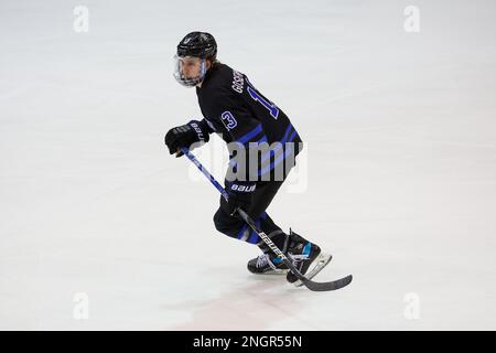 18 febbraio 2023: Bentley Falcons Forward Matt Gosiewski (13) pattina nel primo periodo contro le Tigri RIT. Il Rochester Institute of Technology Tigers ha ospitato i Bentley University Falcons in una partita di hockey maschile NCAA al gene Polisseni Center di Rochester, New York. (Jonathan Tenca/CSM) Foto Stock