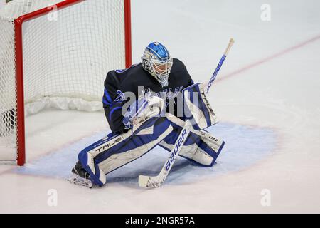 18 febbraio 2023: Connor Hasley (33), portiere di Bentley Falcons, si prepara a risparmiare nel terzo periodo contro le Tigri RIT. Il Rochester Institute of Technology Tigers ha ospitato i Bentley University Falcons in una partita di hockey maschile NCAA al gene Polisseni Center di Rochester, New York. (Jonathan Tenca/CSM) Foto Stock