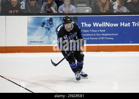 18 febbraio 2023: Bentley Falcons Forward Nicholas Niemo (20) pattina nel secondo periodo contro le Tigri RIT. Il Rochester Institute of Technology Tigers ha ospitato i Bentley University Falcons in una partita di hockey maschile NCAA al gene Polisseni Center di Rochester, New York. (Jonathan Tenca/CSM) Foto Stock