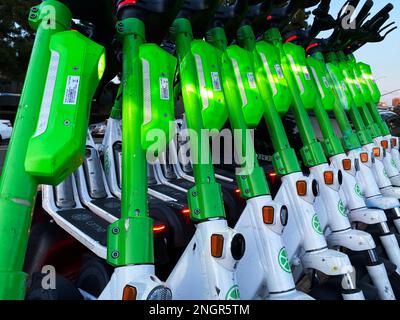 Scooters di calce accatastati su un camion Foto Stock