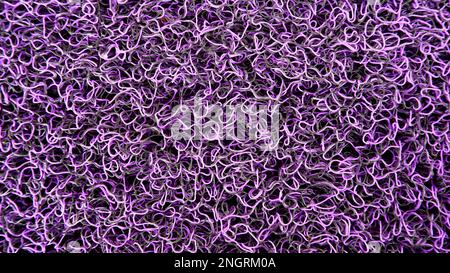 Tappetino per la pulizia dei piedi in gomma viola e nera Foto Stock