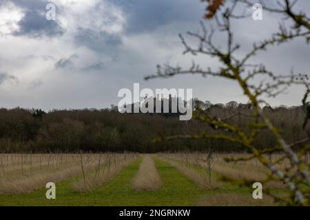 Castello di Belvoir 23 Foto Stock