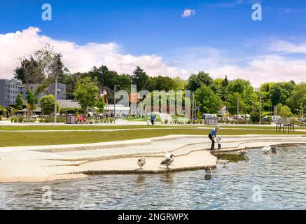 13 dicembre 2022: Lago Rotorua, Baia di Plenty, Nuova Zelanda - Riserva sul lungolago, con parco giochi per bambini e madre e bambini che nutrono anatre e gees Foto Stock