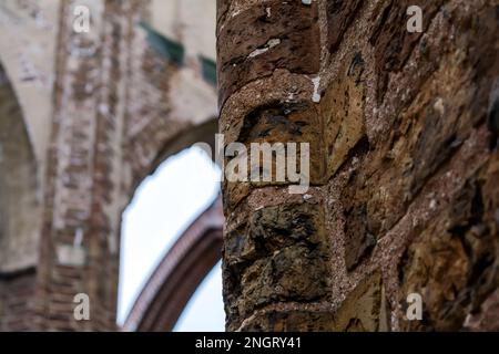 Primo piano con le rovine di mattoni rossi della cattedrale di Tartu Foto Stock