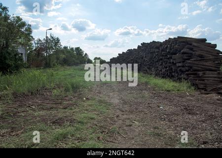 Vecchie traversine ferroviarie dalla ferrovia smantellata a Banat - Serbia. Foto Stock